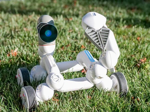 Hoe kan technologie de toegankelijkheid voor mensen met een beperking verbeteren?